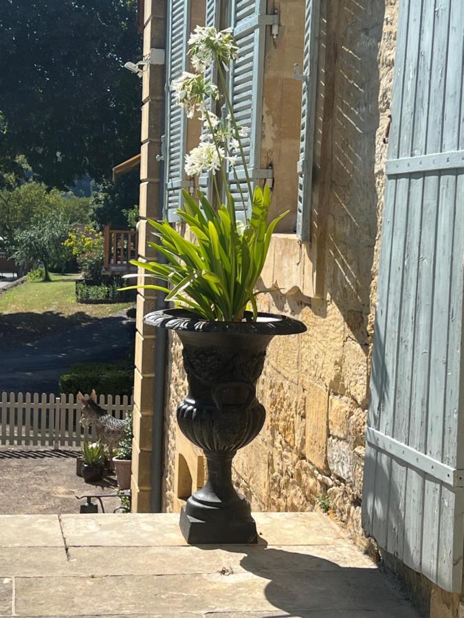 Le Clos De L'Ane Dentelle Vezac  ภายนอก รูปภาพ