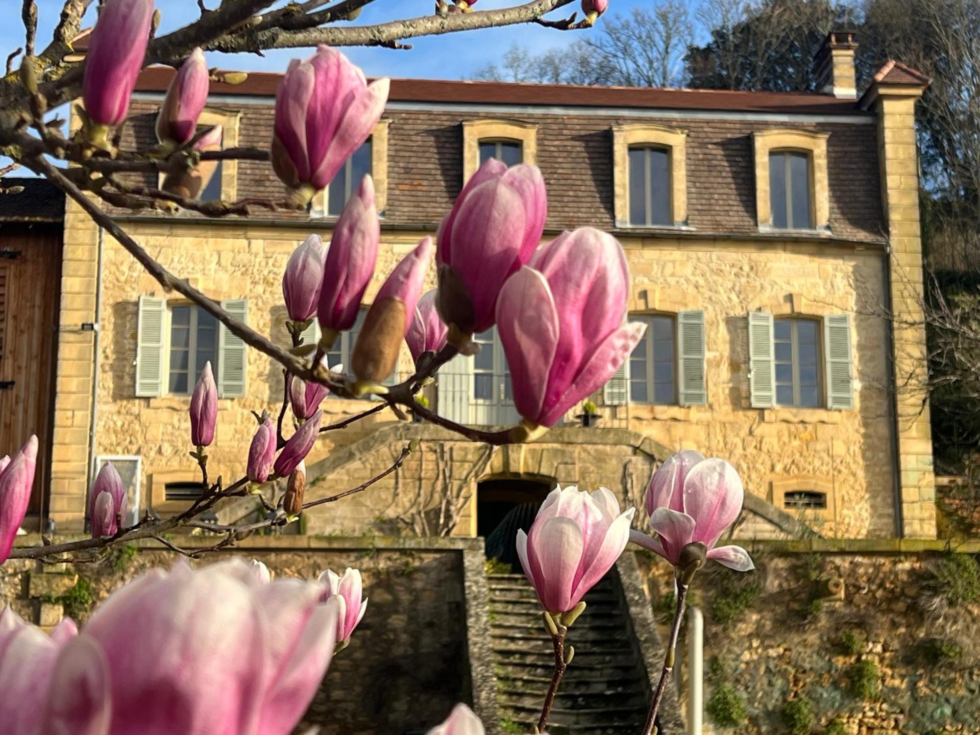 Le Clos De L'Ane Dentelle Vezac  ภายนอก รูปภาพ