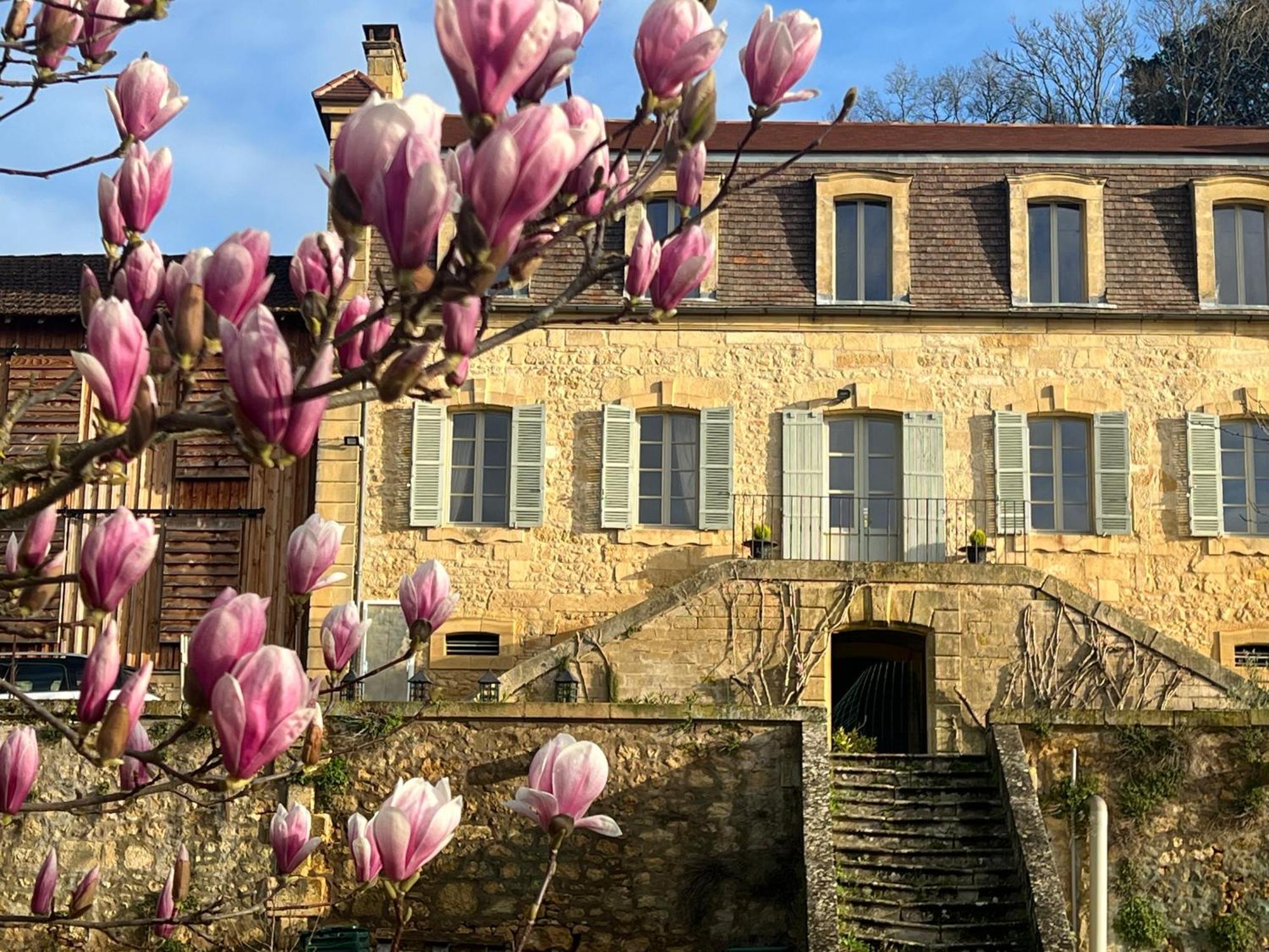 Le Clos De L'Ane Dentelle Vezac  ภายนอก รูปภาพ