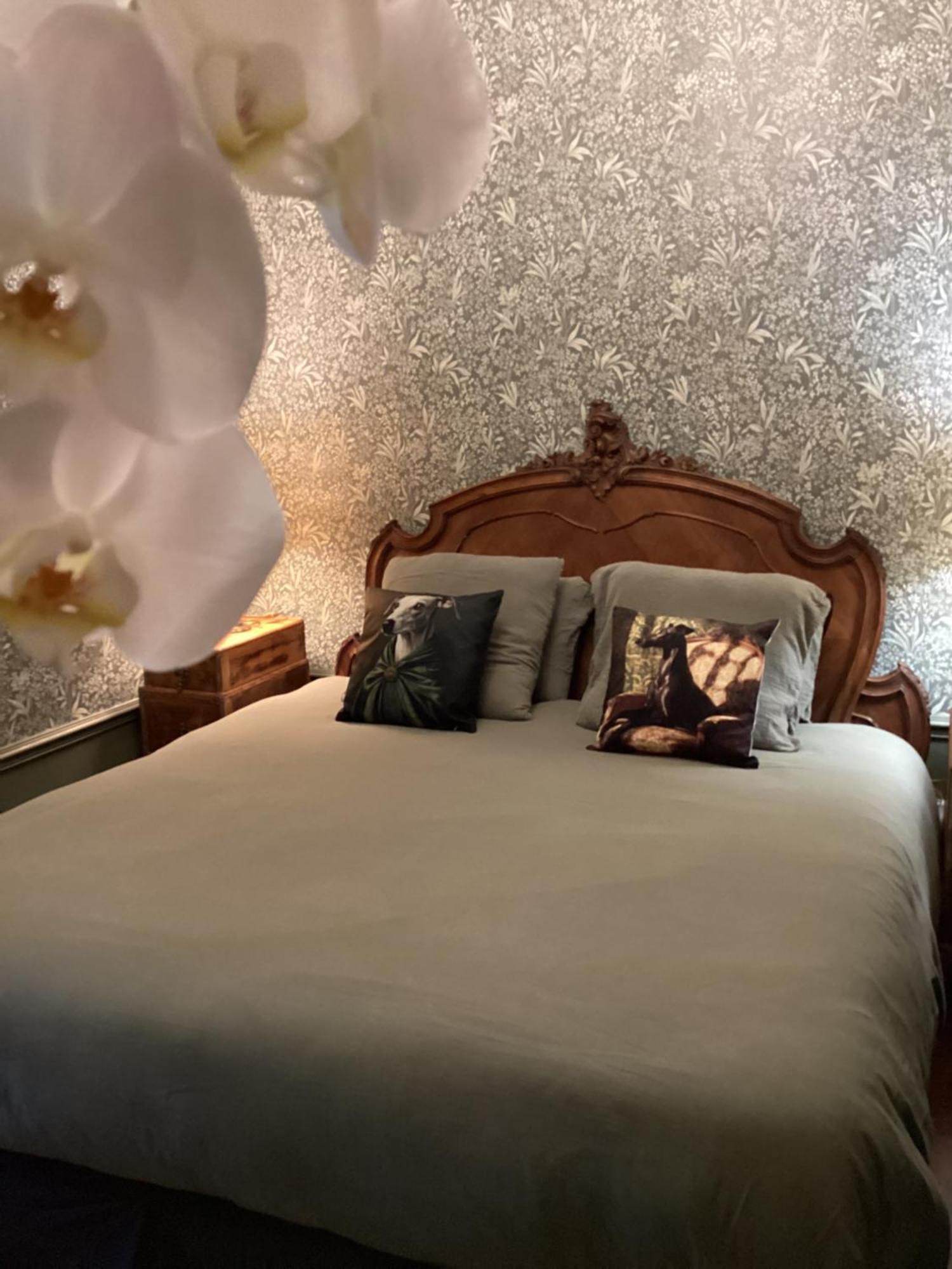 Le Clos De L'Ane Dentelle Vezac  ภายนอก รูปภาพ